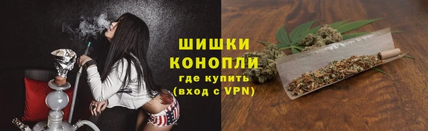 мескалин Заводоуковск
