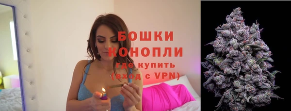ПСИЛОЦИБИНОВЫЕ ГРИБЫ Заволжск