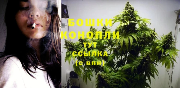 ПСИЛОЦИБИНОВЫЕ ГРИБЫ Заволжск