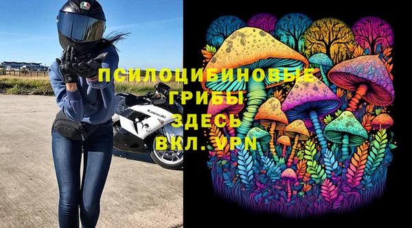 ПСИЛОЦИБИНОВЫЕ ГРИБЫ Заволжск
