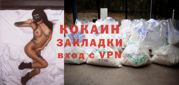 мескалин Заводоуковск
