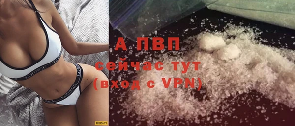 ПСИЛОЦИБИНОВЫЕ ГРИБЫ Заволжск